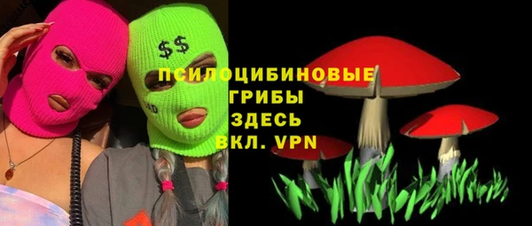 дживик Алексин